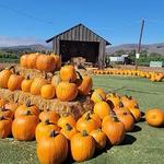 Brookshire Farms