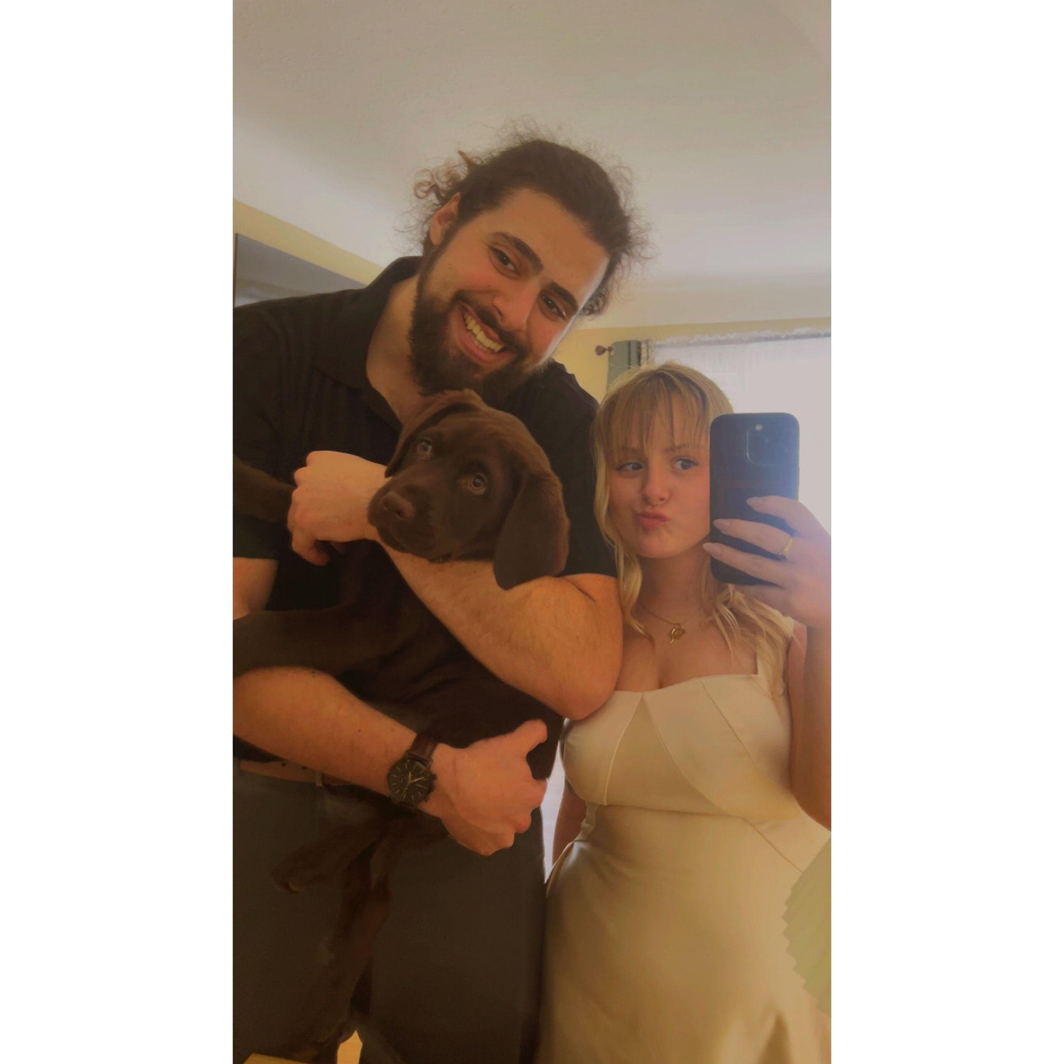 Becoming dog parents, 2025