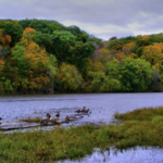 Palisades-Kepler State Park