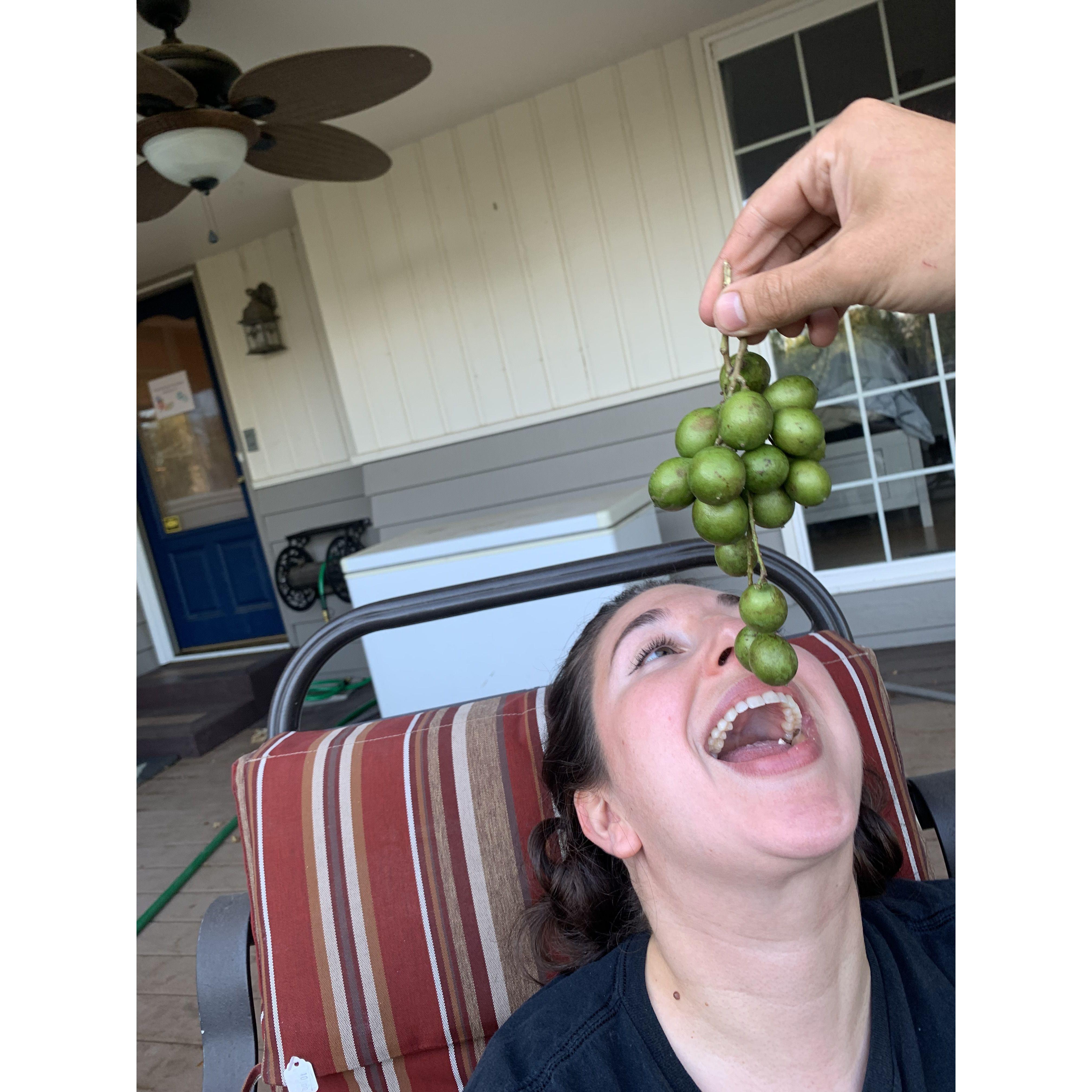 Sylvana having her first taste of one of her favorite Nicaraguan fruits in years!
