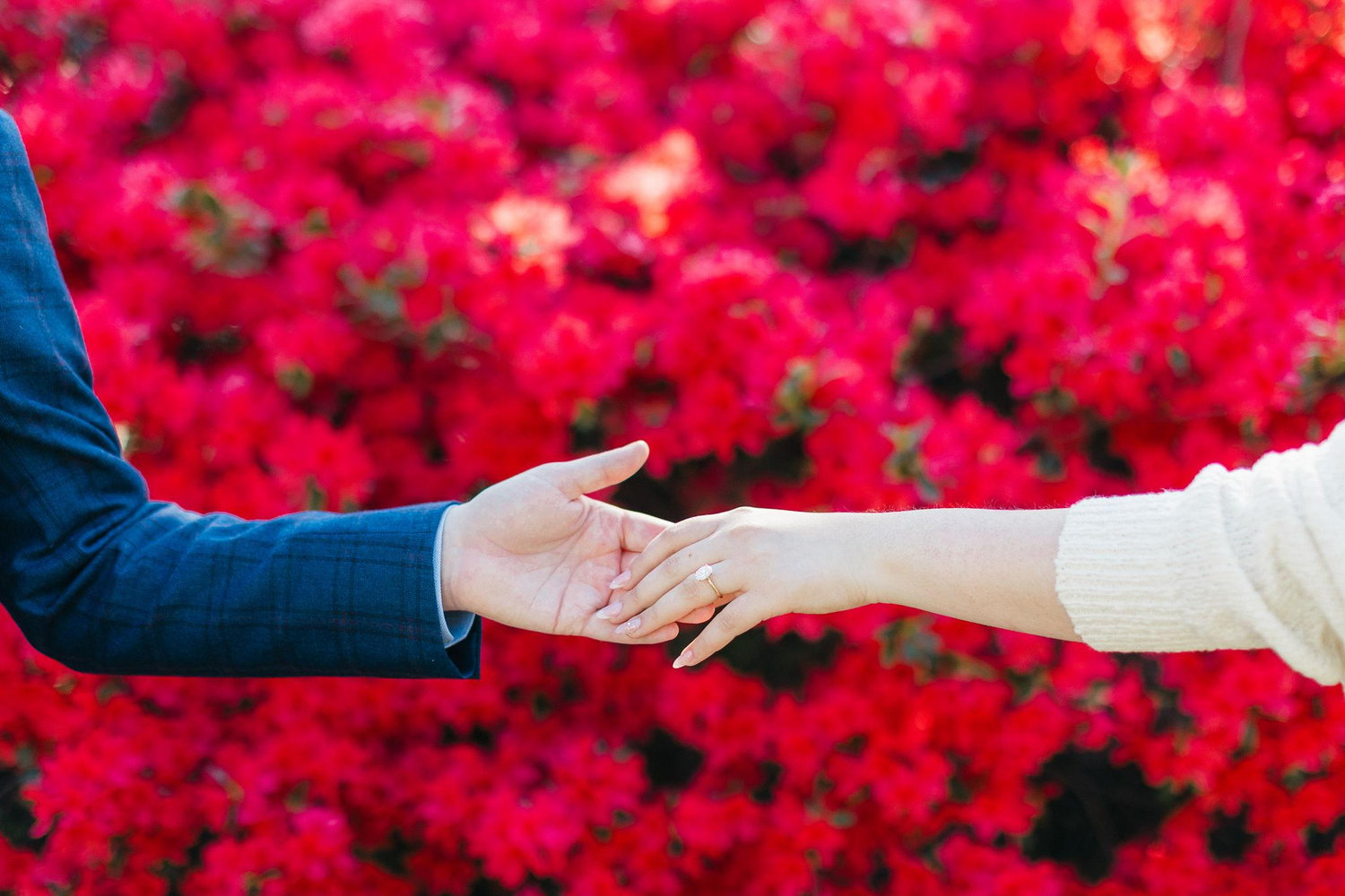 The Wedding Website of Priscila Velazquez and Garrett Redfearn