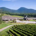 Yonah Mountain Vineyards