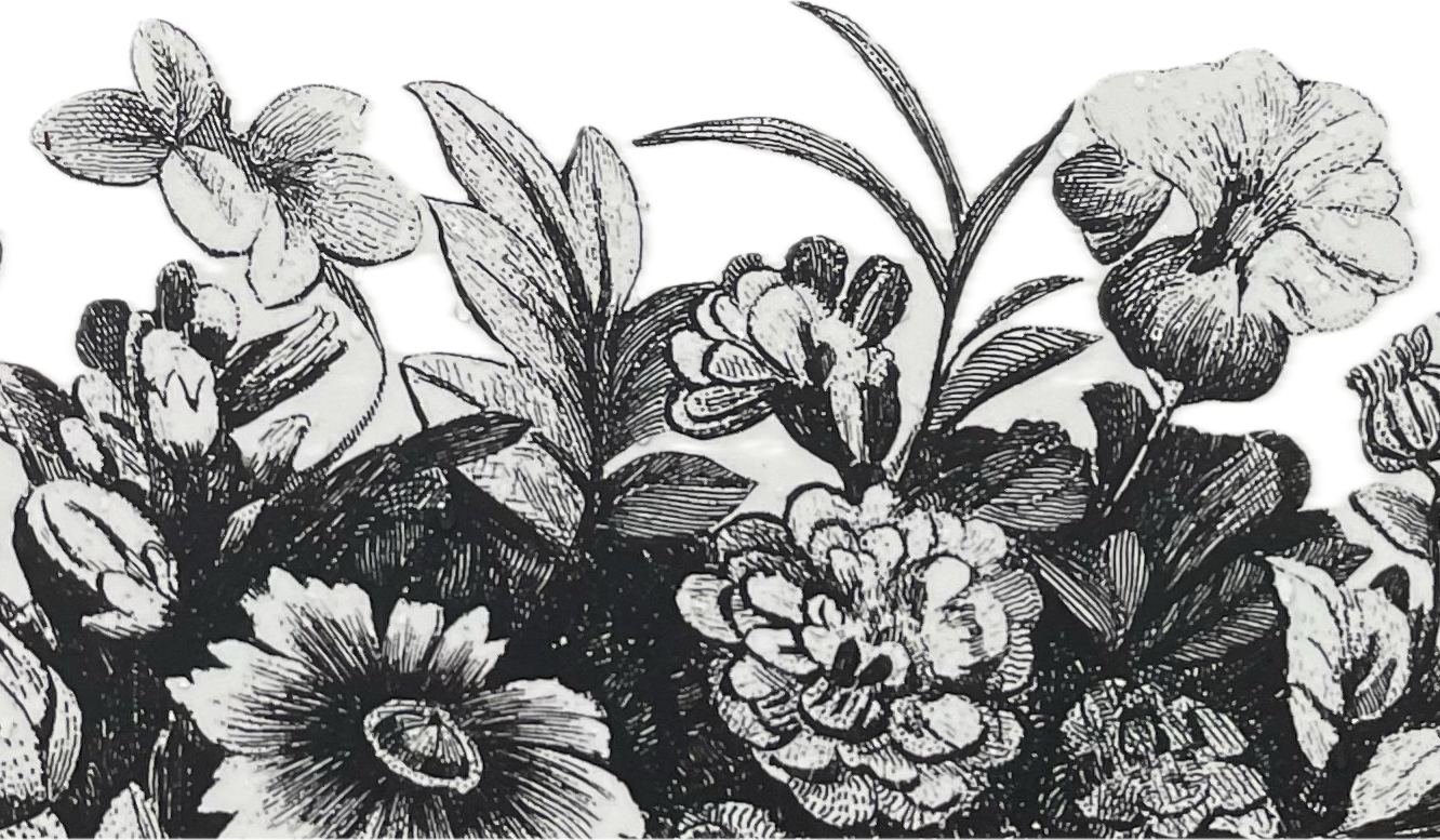 Footer image