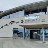 Monterey Bay Aquarium