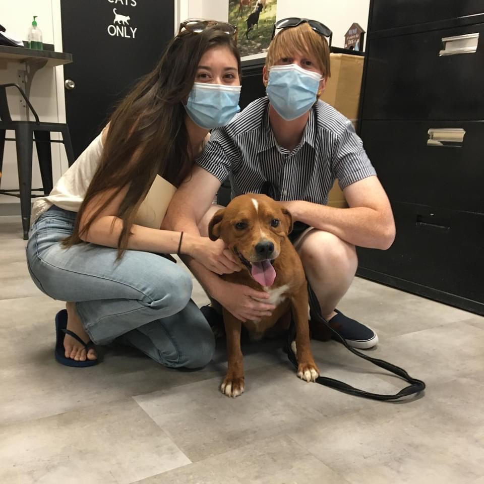Brodie's adoption day!