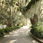 Alfred B. Maclay Gardens State Park
