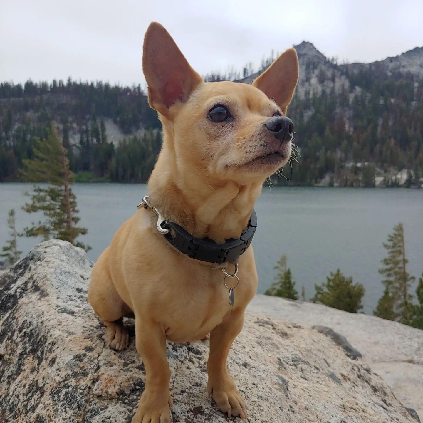 Ben