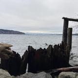 Sunrise Beach Park