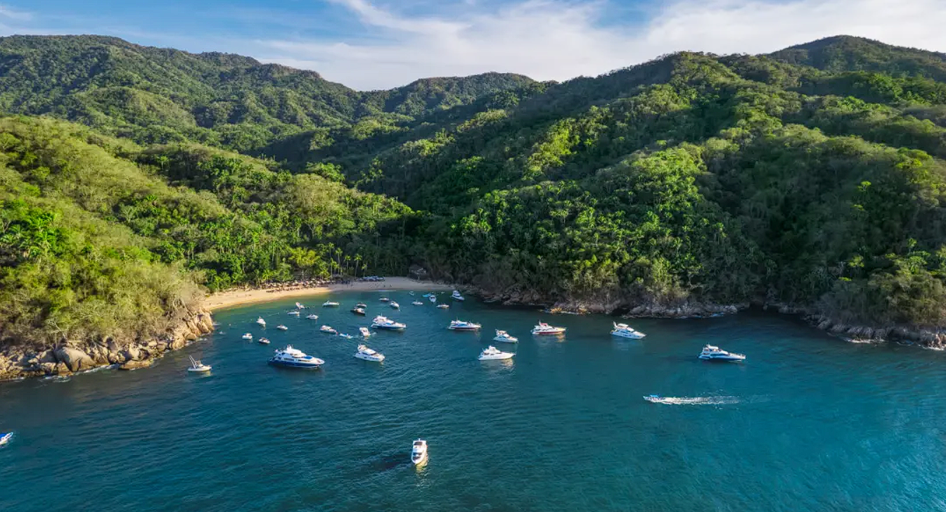 5f8b2597-72e2-4971-be05-8ef4e35d389c