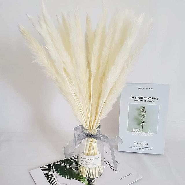 Belle Fleur 30 Pcs Natural Dried Pampas Grass Reed Grass Plume Dried Flower Phragmites Communis for Wedding Flower Arrangements Home Decor (White)