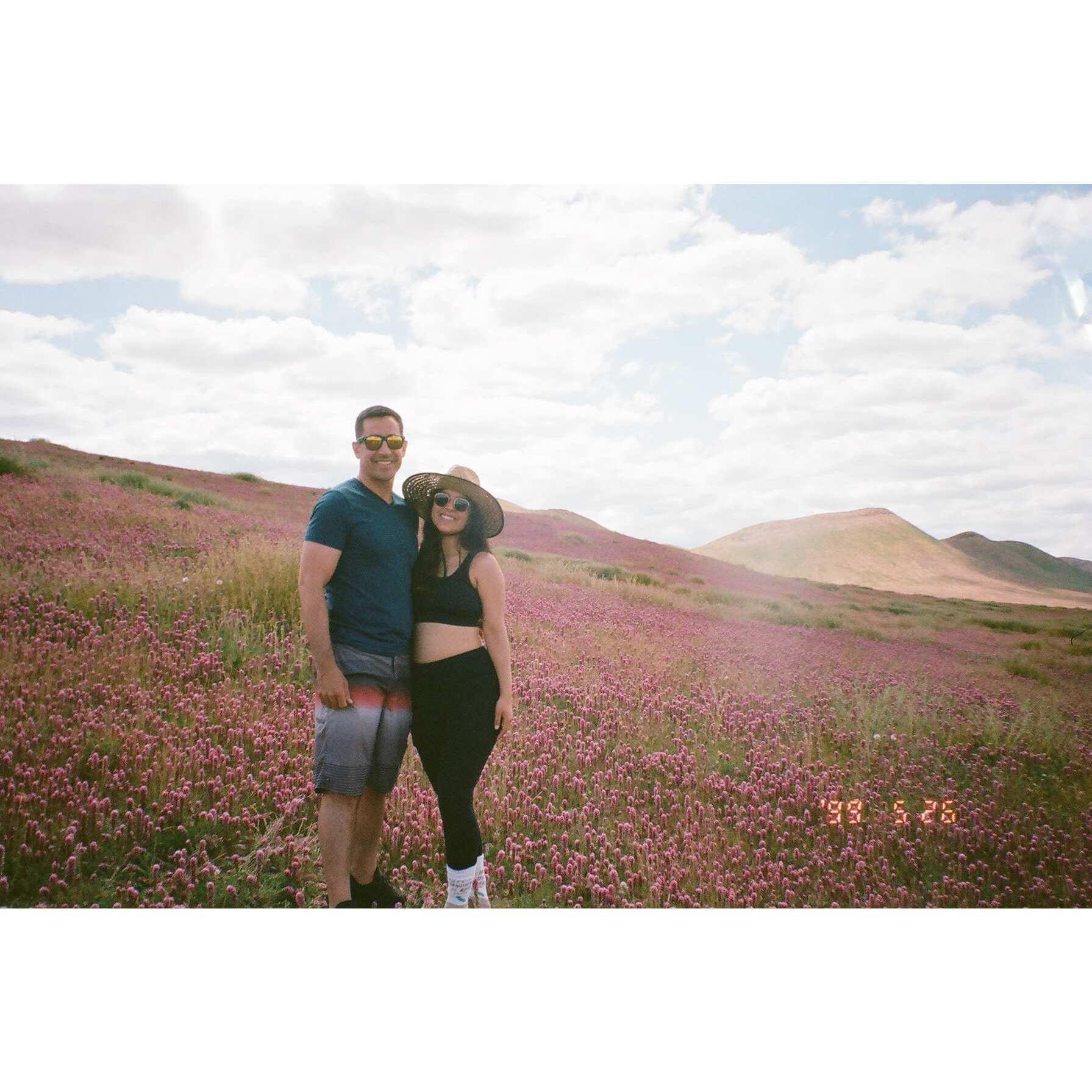 Searching for wildflowers!