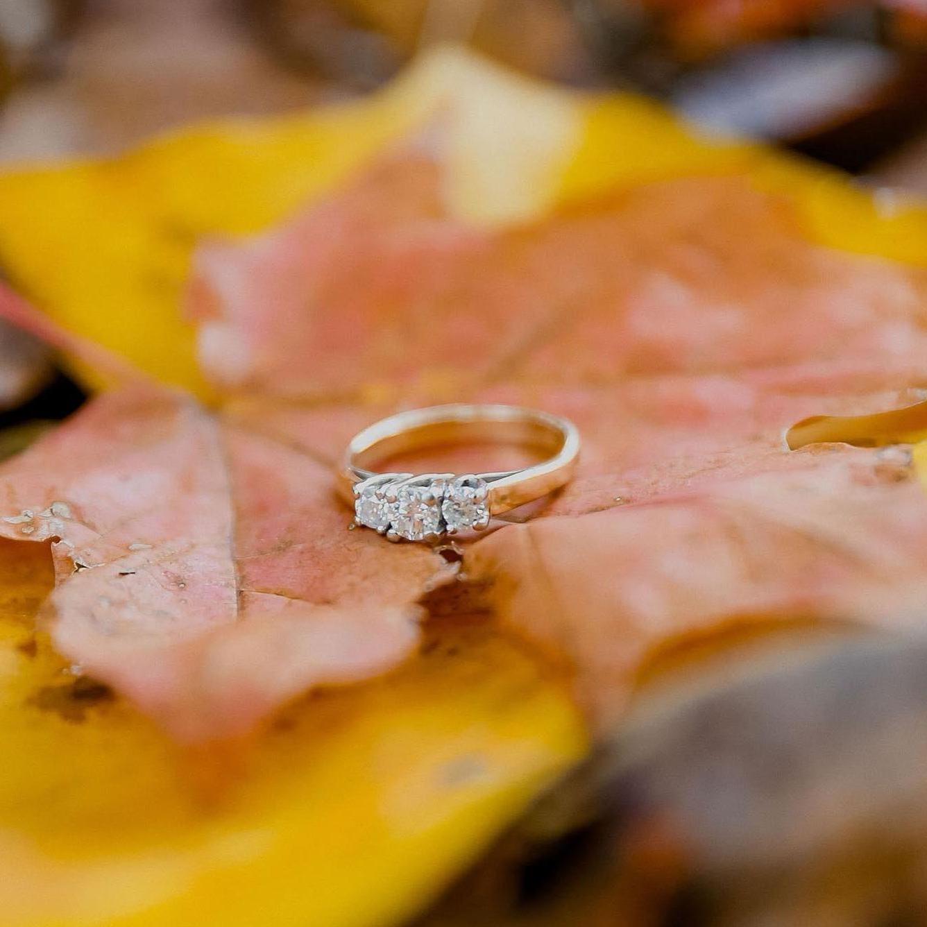 The Card's Family Ring