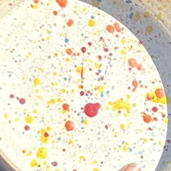 Splatter ware Utensil Holder