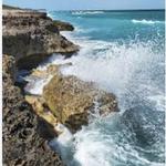 Blowing Rocks Preserve