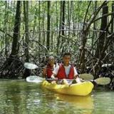 Kayak Tour