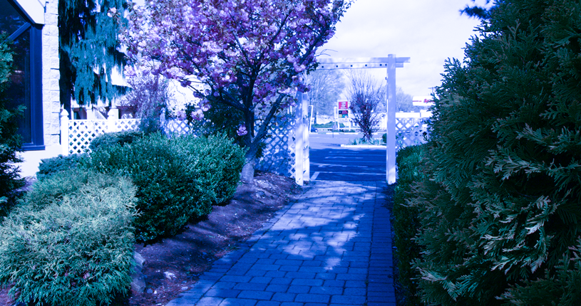 The Wedding Website of Marie Demorcy and Ronnie Smalls