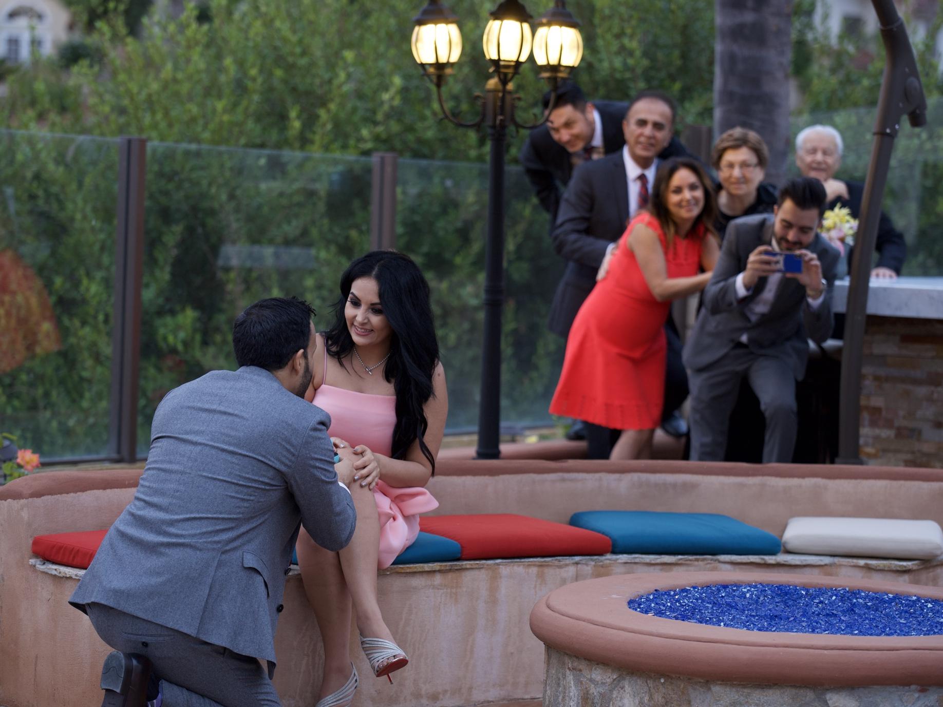 The Wedding Website of Mona Alipour and Mohsen Akbari