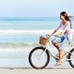 Bike Rentals