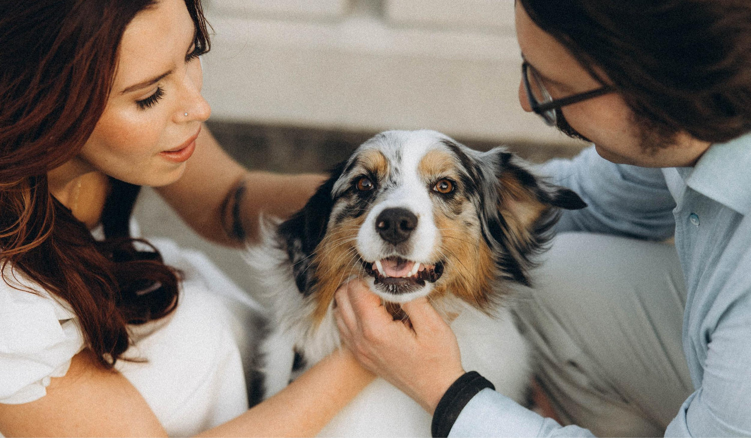 The Wedding Website of Kaitlin Knutson and Chanse Shirley