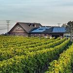 Newport Vineyards & Restaurant
