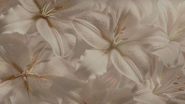 The Wedding Website of Philip Joey Noguera and Krisette Nunag