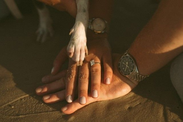 The Wedding Website of Abbey Shobe and Zachary Ashburn