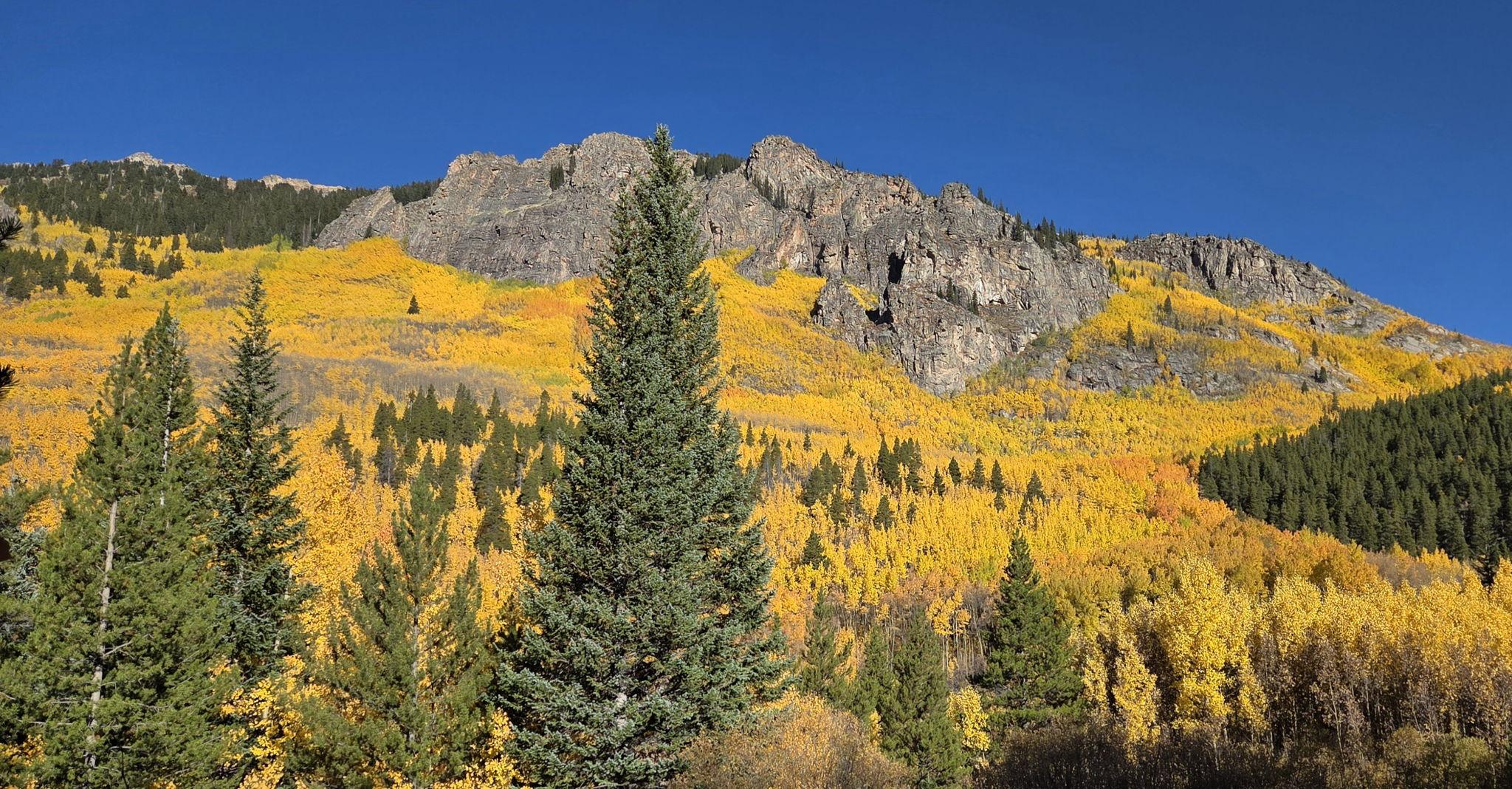 The Wedding Website of Patrick Doughty and Sarah Roberts