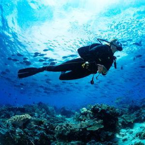 Scuba Diving