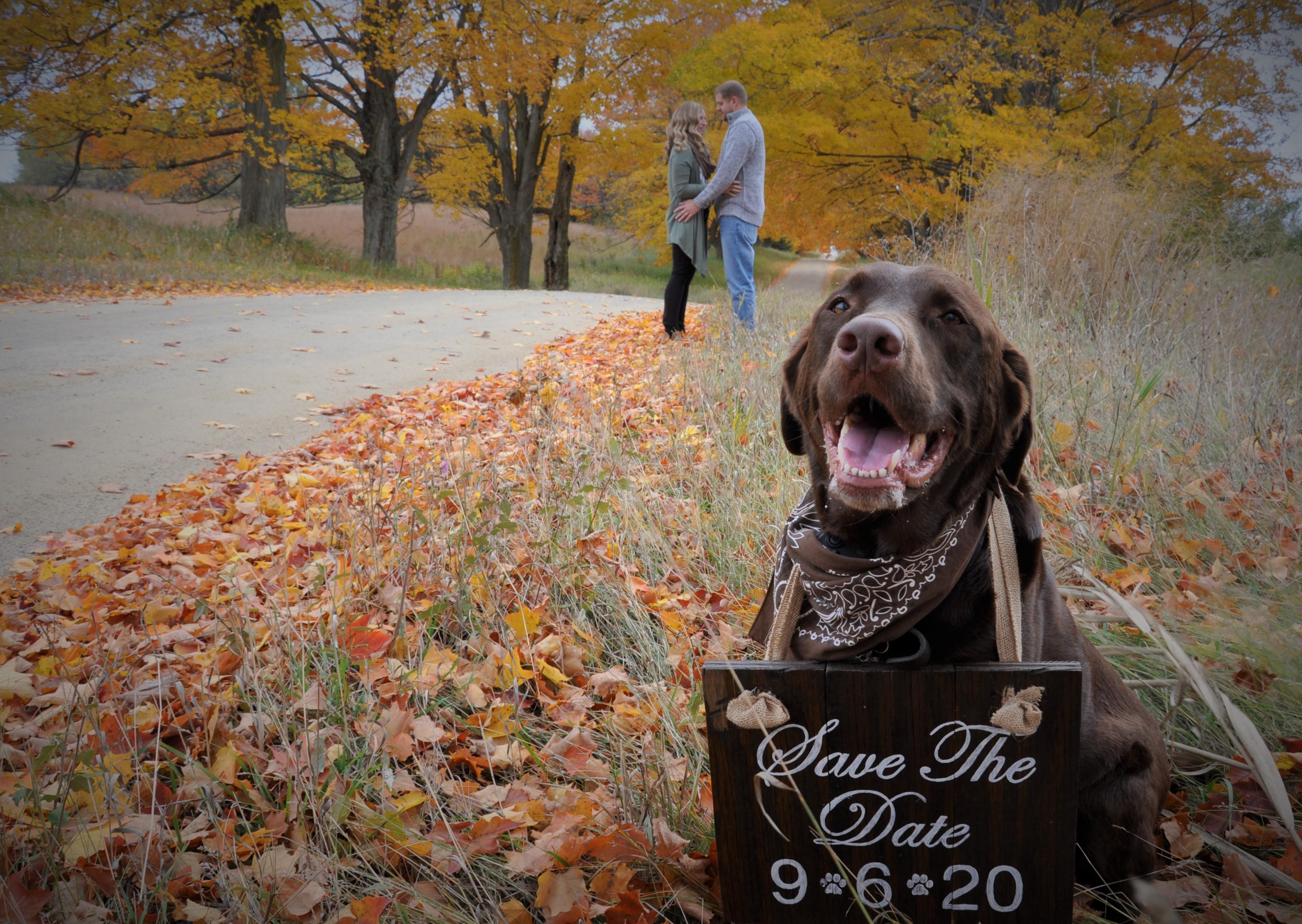The Wedding Website of Elizabeth Eden and Brandon Zdrojewski