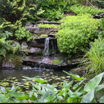 Tarbin Gardens