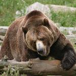 Grand Teton and Yellowstone National Parks