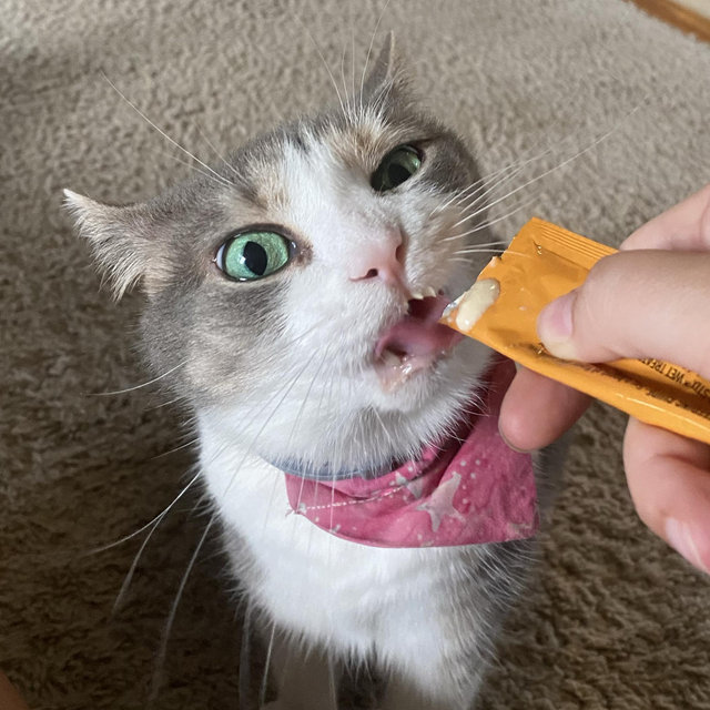 A Year Supply of Princess Treats