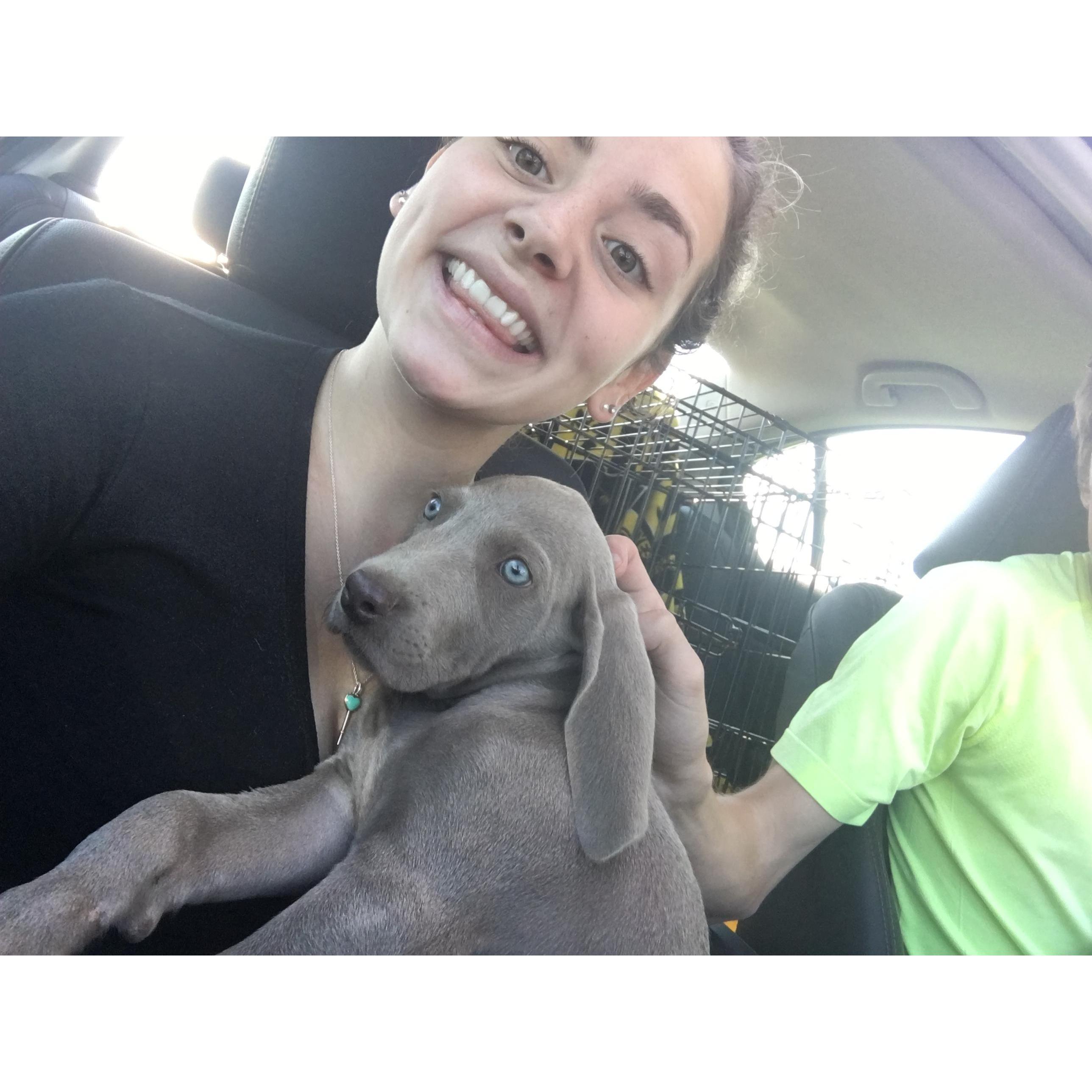 The day we picked little baby argo up, and she’s still that cute!