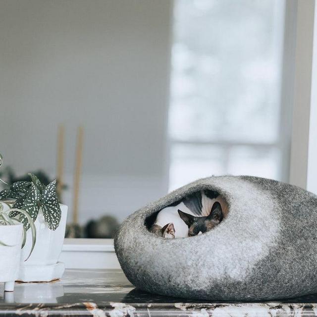 Mau - Skyline Cat Cave