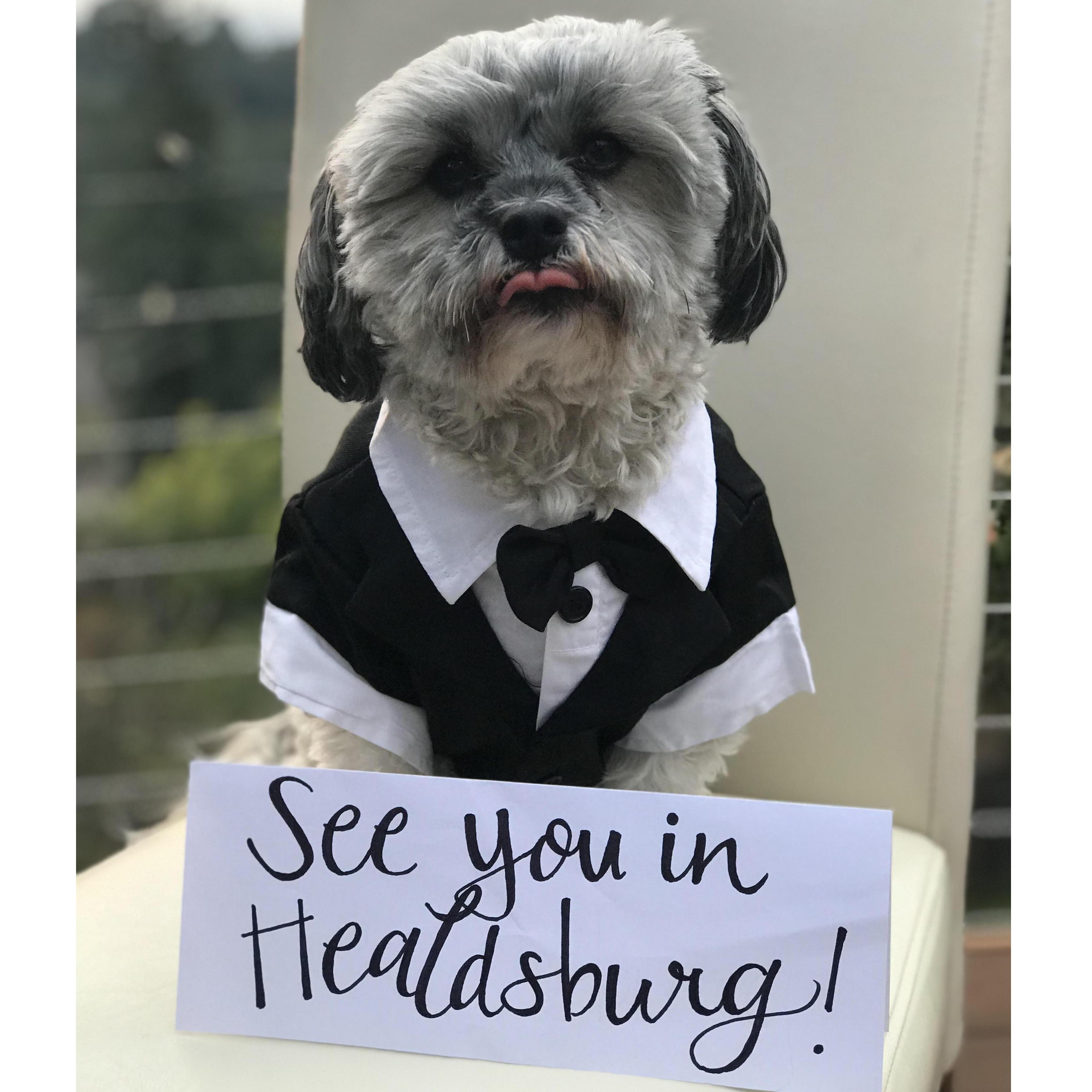 ... in September 2018!