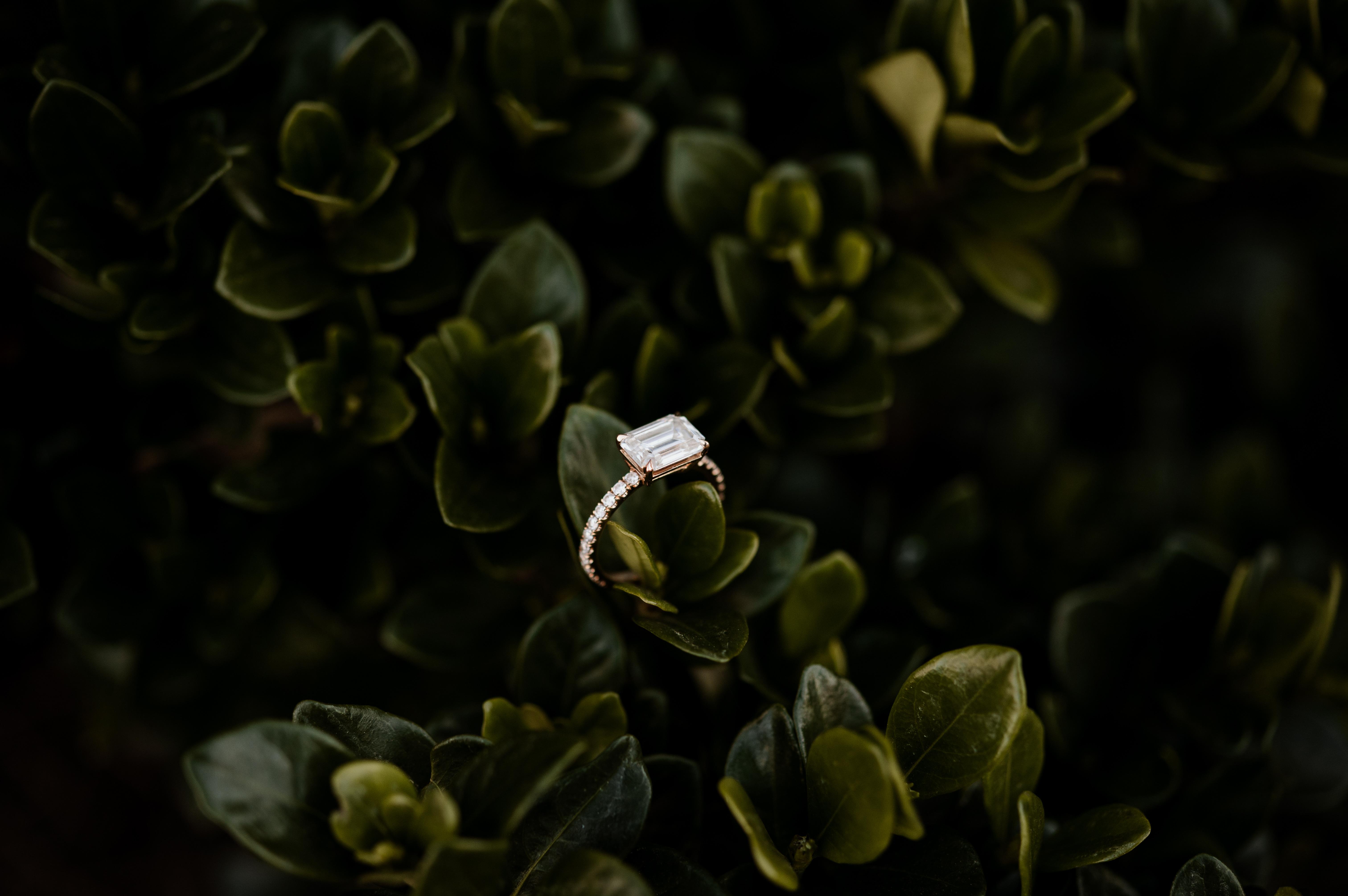 The Wedding Website of Damon Ellington II and Jasmine Garrett