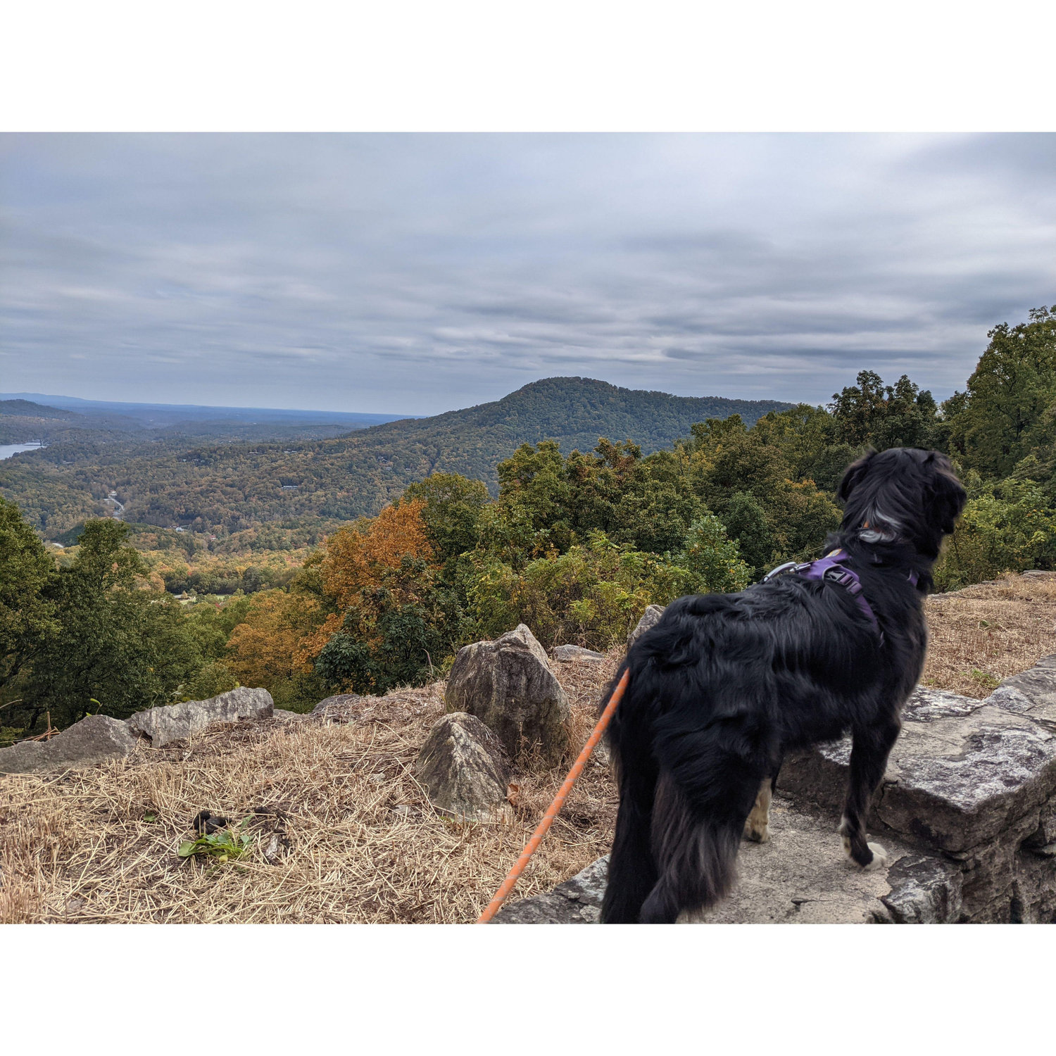 Chimney Rock State Park 2021