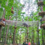 The Adventure Park at Long Island