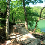 Hobbs State Park-Conservation Area