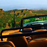 Malibu Wine Safaris