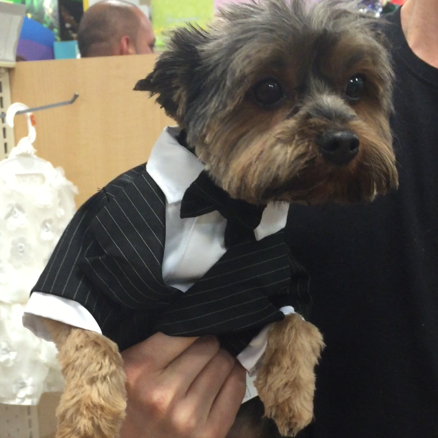 Someone is ready for the wedding!