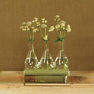 Trio Glass Vase