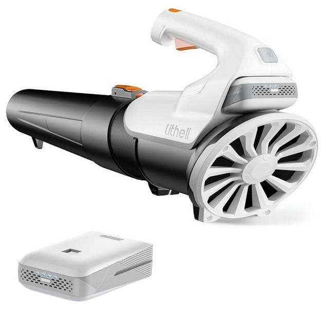 Litheli 20V Cordless Leaf Blower Battery Powered Leaf Blower, 2.0 Ah Battery Lightweight 2 Speed Axial Electric Blowers for Lawn Care, Patio, Snow, Dust, Blowing Leaves