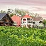 Cana Winery Road