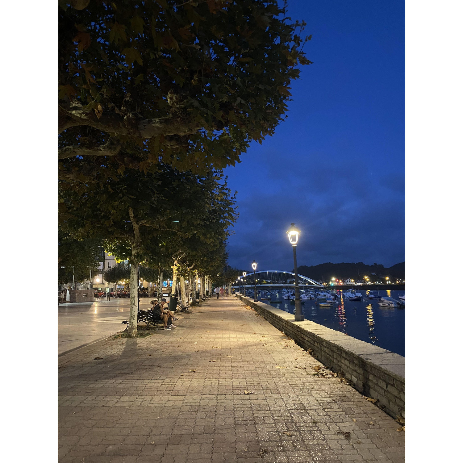 Walkway along the river in Bilbao - so pretty!