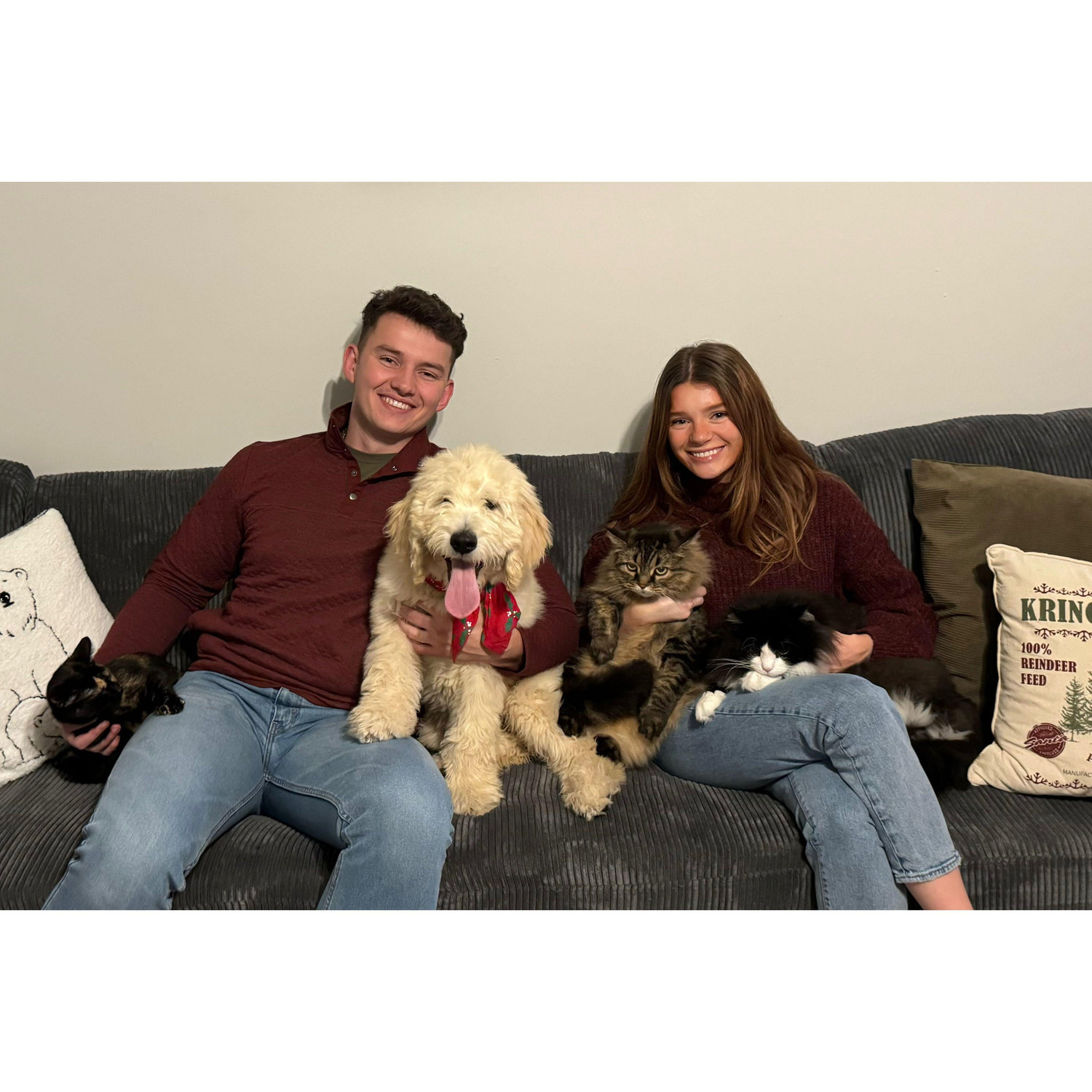 Our first Christmas with our giant fur family :)