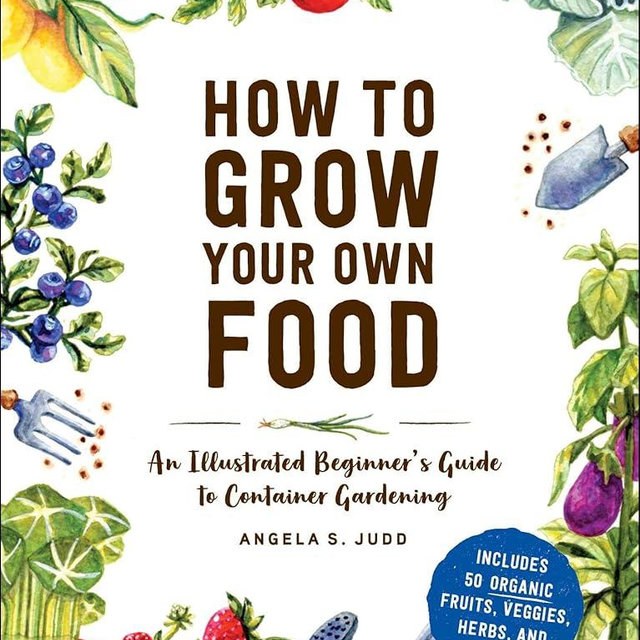 How to Grow Your Own Food: An Illustrated Beginner's Guide to Container Gardening