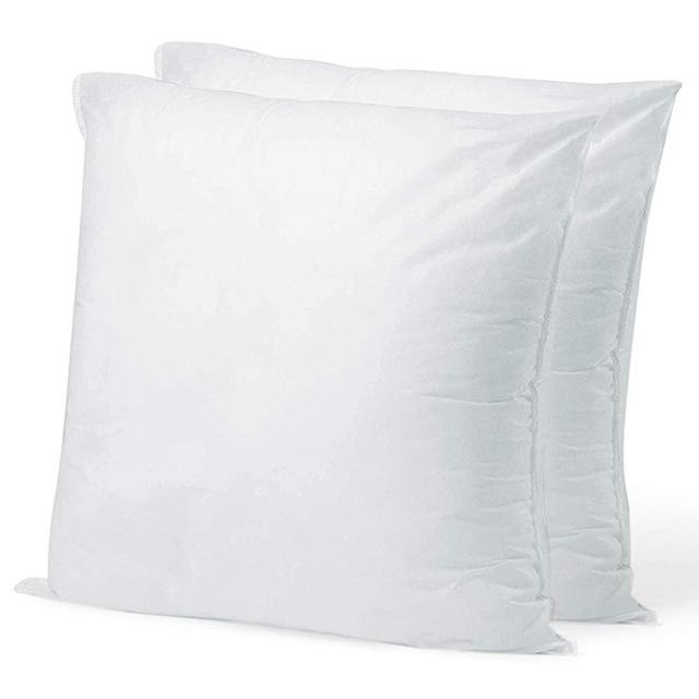 Pillow Insert 19" x 19" Polyester Filled Standard Cover (2 Pack)