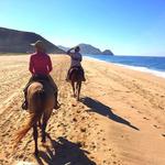 Go Horseback Riding