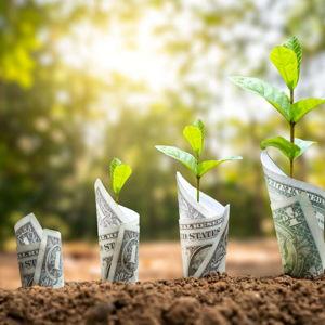 Investment Fund